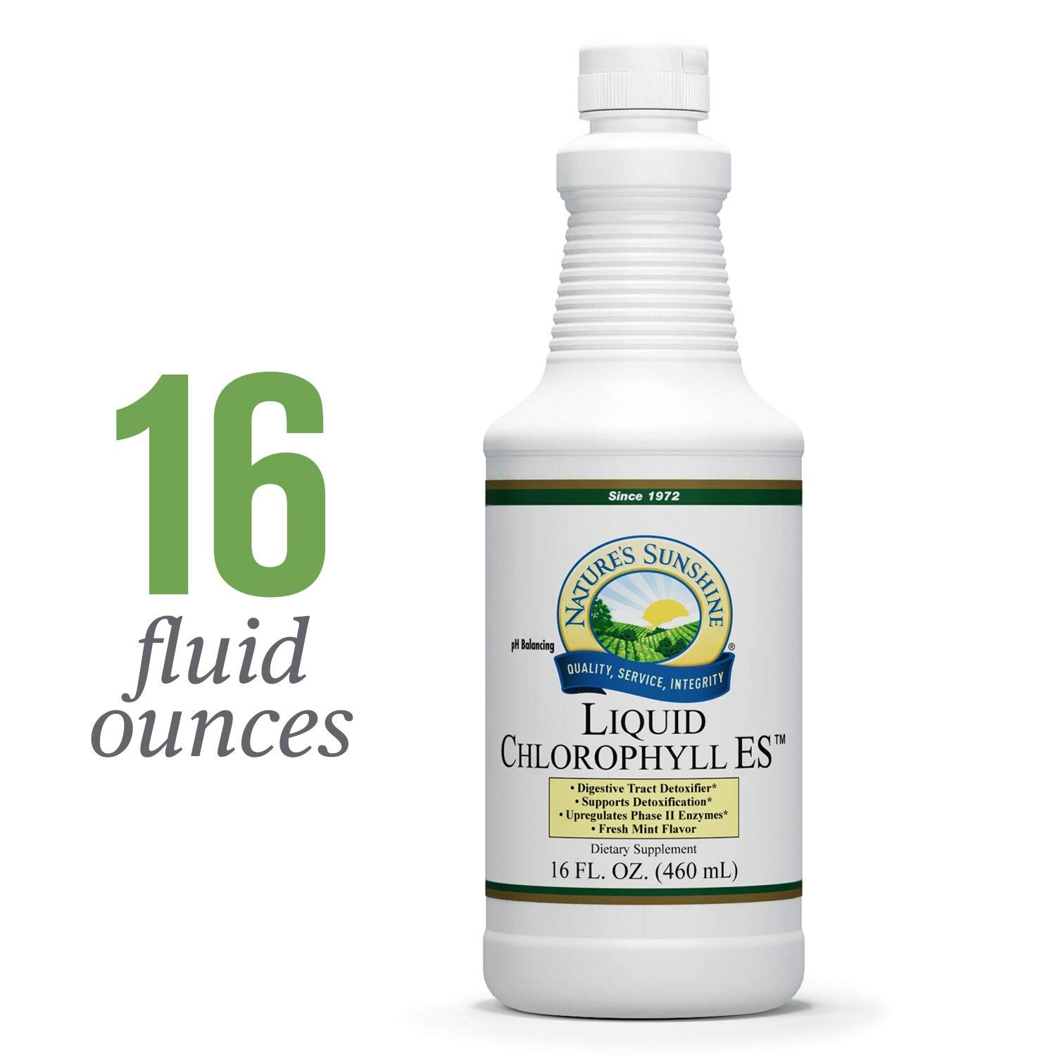 Chlorophyll For Weight Loss Review WeightLossLook