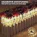 Photo Clip String Lights 20-LED USB-Powered with 8-mode Remote by TMB Lights | Holiday Fairy Christmas String Lights, Weddings/Anniversary, 10ft Warm White - For Bedroom Hanging Photos, Cards, Artwork