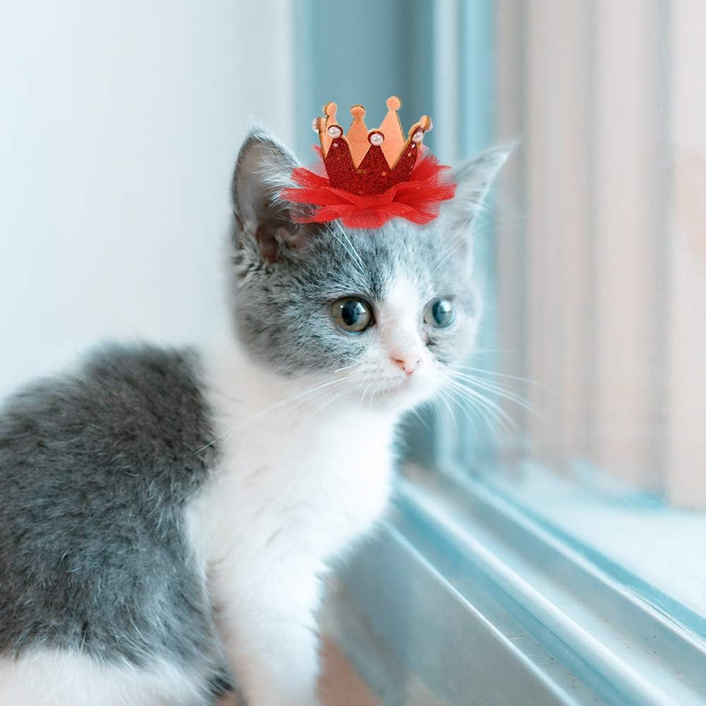 Zhouba Serre Tete Pour Chien Et Chat Avec Bois De Rennes Et Fleurs Jeux Et Jouets Animaux De Compagnie