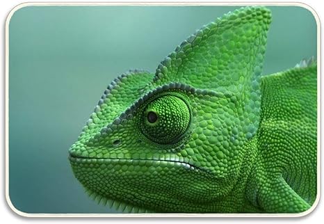 Amazon フラダンス衣装 トップス Tシャツ モンステラ 半袖 カメレオン練習着 発表会 婦人服 浴室足ふきマット ホーム キッチン オンライン通販