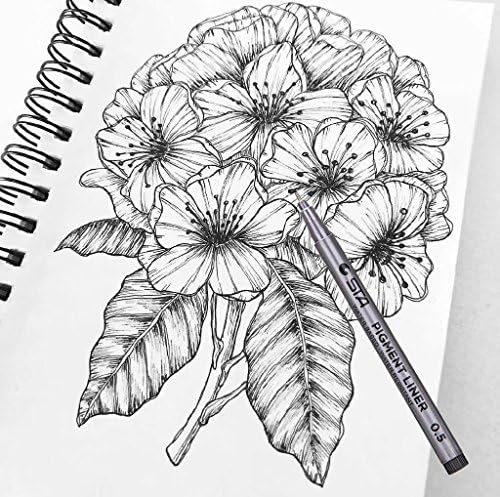 Penna E Inchiostro Disegnamo