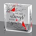 Yookeer Sympathy Gift Red Cardinal Bereavement Gift Crystal Glass Memorial Condolence for Loss of Loved One Table Centerpieces Memory Funeral Remembrance(4 x 4 x 0.6 Inch,Sympathetic Style)