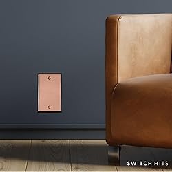 Switch Hits Pink Antique Copper Outlet Wall Plate