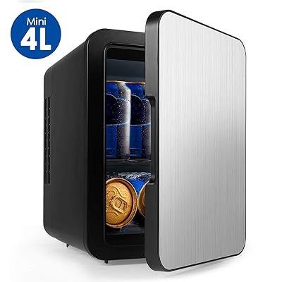 4 Liter Mini Portable Compact Fridge with Cooler and Warmer