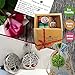 Essential Oil Diffuser Necklace Aromatherapy - Gifts for Women Unique Tree of Life Locket Pendant & Car Vent Clip Eco Set, 27+2