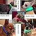 BSEEN Light Up Dog Collar - Reflective LED Dog Collar Rechargeable Glowing Cat Collars Adjustable Puppy Collar Safety Dog Lights for Night Walking (Blue, XS)