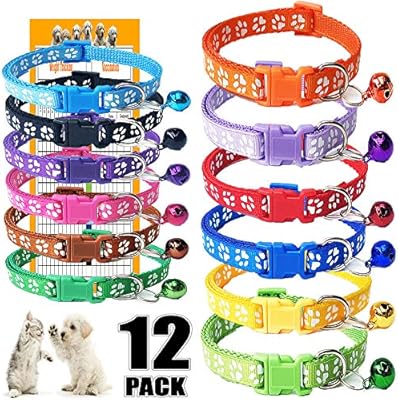 orijen dog food cheapest