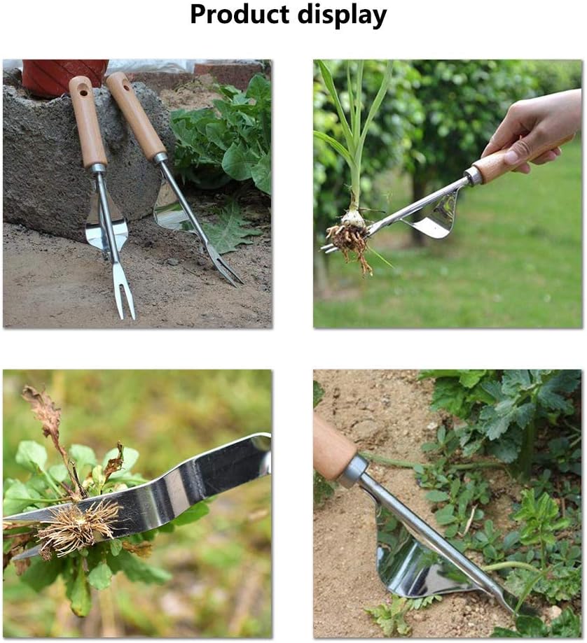 BERNIE ANSEL Garden Weeder Hand Tool, Ergonomic Weeding Tools, Stainless Steel Base - Easy Weed Removal and Deeper Digging for Planting and Weeding V : Garden & Outdoor