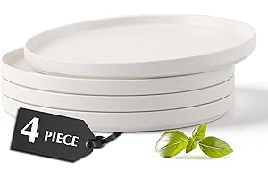 MIAMIO – Ceramic Dinner Plates Set for 4 People/Ceramic Dinnerware 4-Piece, Modern Stoneware, Dishwasher & Microwave Safe – L