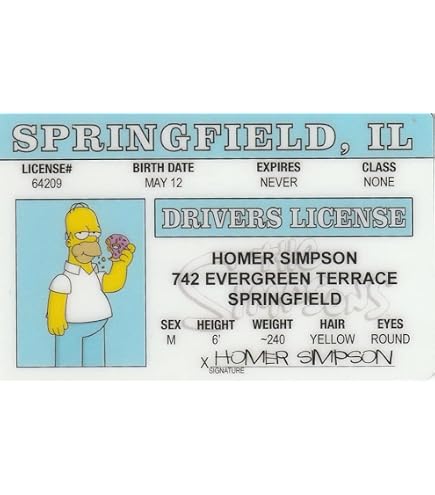 Signs 4 Fun Parody Drivers License Alien Ufo Id Fake