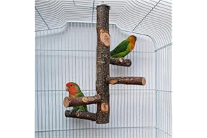 DuvinDD Parrot Cage Perch Stand Parakeet Toys Natural Wood Branch Perch for 3 or 4 Small Medium, Cockatiel, Conure, Budgie, L