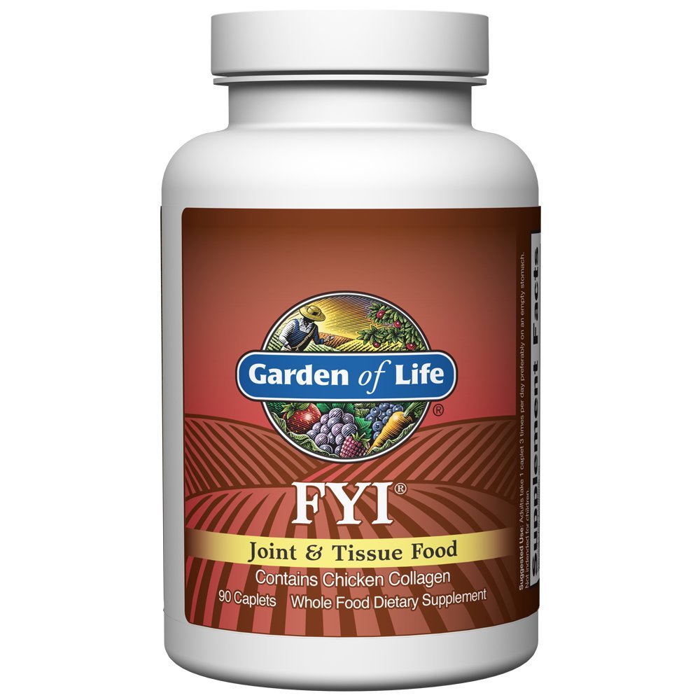 Garden of Life Joint and Tissue Support FYI Joint Supplement with