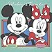 Mickey & Friends Wall Calendar (2017)