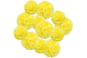 Hocansen 12Pcs Tissue Paper Pompoms 10/12in Paper Flower Ball for Birthdays and Special Occasions Party Hanging Decoration (10in+12in，Yellow)