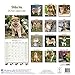 Shiba Inu Calendar - Dog Breed Calendars - 2018 - 2019 Wall Calendars - 16 Month by Avonside