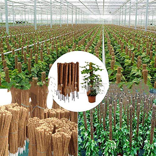 33 Inch Moss Pole(2PCS) - Totem Moss Poles for Climbing Plants - Coco Coir Moss Totem Poles Plant Stakes Coir Moss Stick - Support Climbing Indoor Plants to Grow Upwards