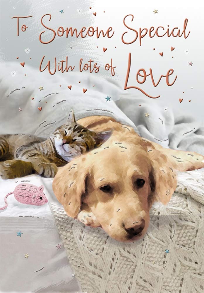 Piccadilly Greetings Someone Special Birthday Card***Golden Labrador Retriever Dog with CAT***9 X 6 INCHES***1AD7**,brown|white|orange|beige