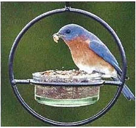 Amazon Com Trenton Gifts Eco Friendly Hummingbird Feeders For