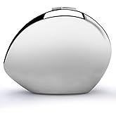 FUTTSPAI Acrylic Clutch Purse Evening Bag Metallic Clutch for Women Prom Dress Clutch Bag | Acrylic, Purse, Prom Dress