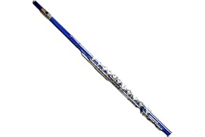 Deloitte C Flute Closed Hole 16 Keys Nickel Plated, DFL-401, for Beginner Student Flute Instrument with Cleaning Kit, Carrying Case, Gloves, Tuning Rod (Sapphire)