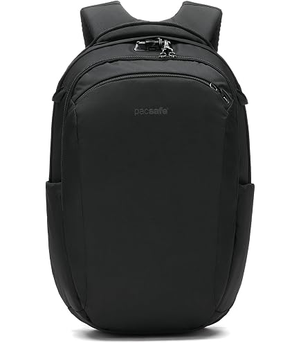Amazon.com: Pacsafe Metrosafe X Anti Theft 25L Backpack - With