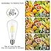 Kohree ST58 Vintage LED Bulb 60 Watt Equivalent, 4000K Daylight White, 6W E26 Dimmable LED Filament Light Bulb for Restaurant, Home, Reading Room, 4 Pack