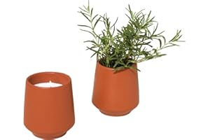Modern Sprout Rooted Candle Grow Set, Indoor Herb Garden, Seed Starter Set, Organic, Non-GMO, Rosemary & Cucumber