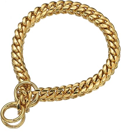 gold choke chain dog collar