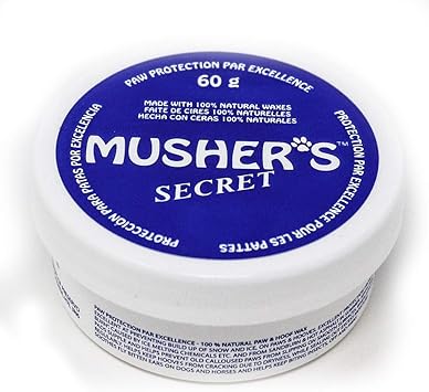 sable cockapoo full grown