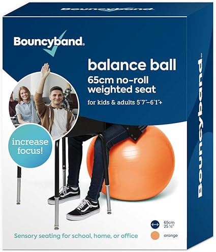 large weighted exercise ball