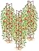 Gardeners Supply Company Red Tomato Ladders | Heavy Gauge Sturdy Garden Plants Support for Tomatoes and Other Climbing Plants | No Assembly Needed | Set of 3
