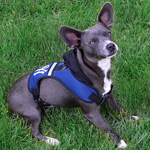 Pets First Arizona State Harness, Large