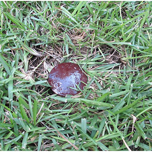 Survey Stake - Low Profile Survey Boundary Marker (Brown)