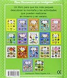 Image de La montana/ The Mountain (Mini Diccionario Por Imagenes/ Mini Picture Dictionary) (Spanish Edition)