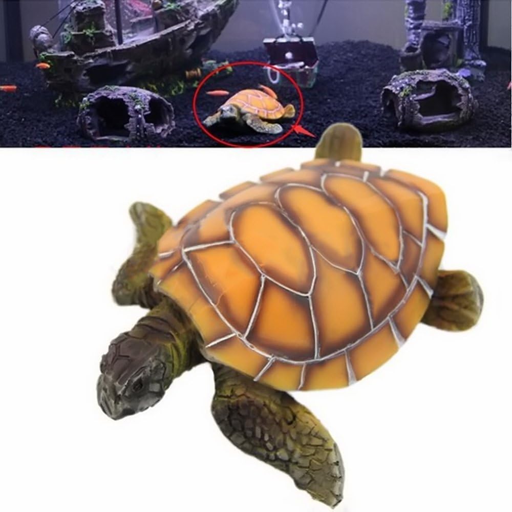 fish and tortoise aquarium