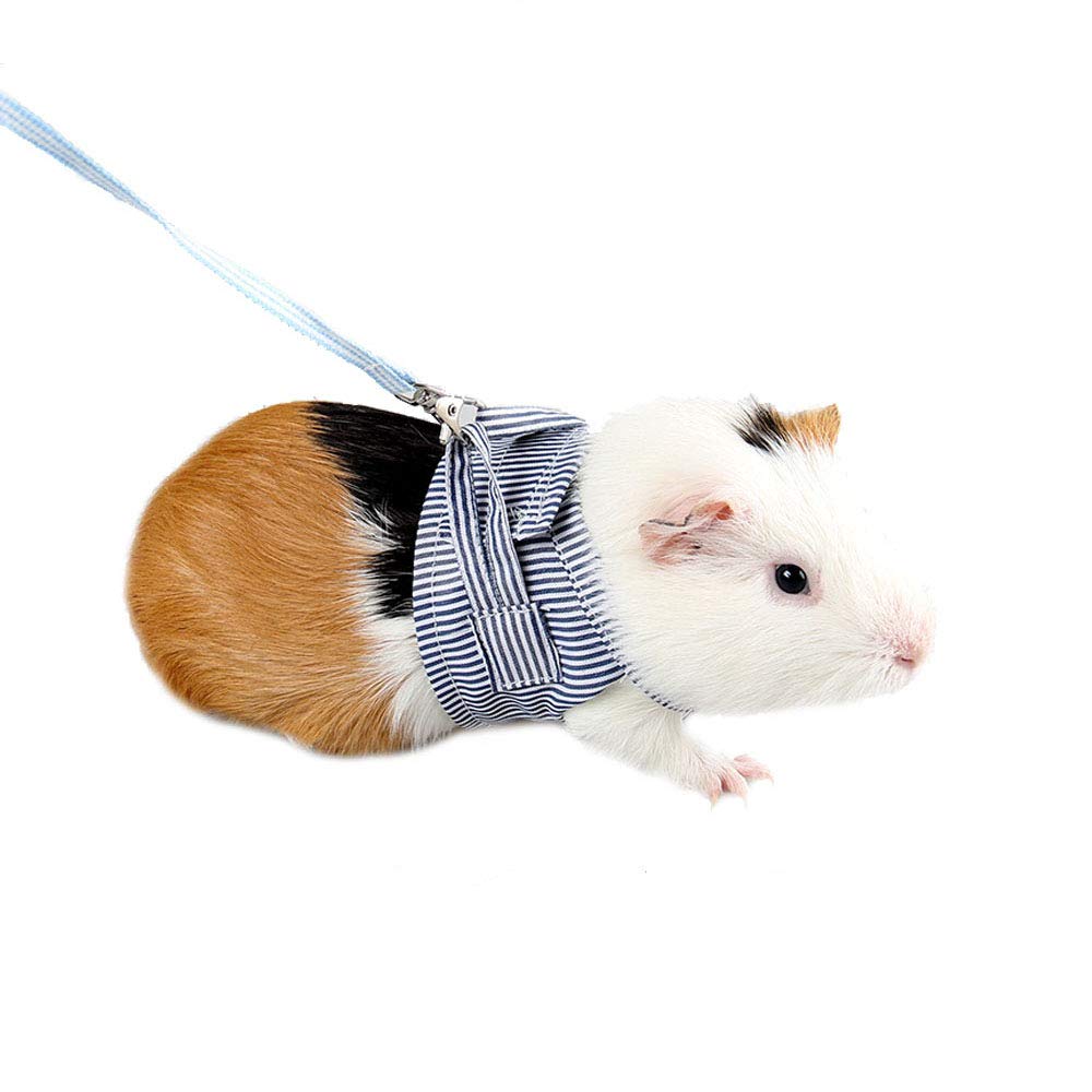 ASOCEA Small Animals Harness and Leash Adjustable Pet Walking Lead Comfort Padded Vest Training Leash for Rats Iguana Hamster Ferrets Small Animal