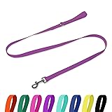 Kidding Pets Waterproof Dog Leash, 5/6 FT Durable