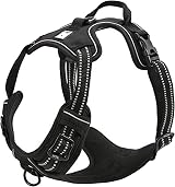 Truelove TLH5651 No-Pull Dog Harness Reflective Stitching XL Black
