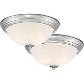 Designers Fountain Flush Mount Ceiling Light, 11 Inch Frosted Glass Lighting Fixture for Kitchen, Bedroom, Bathroom, and Hall