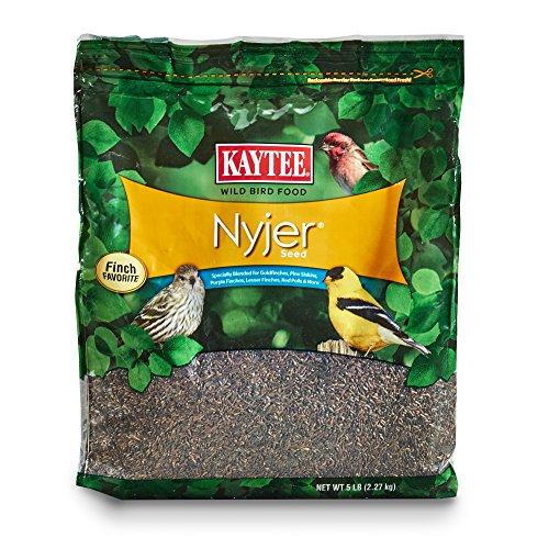 Kaytee Nyjer Stand Up Bag, 5-Pound