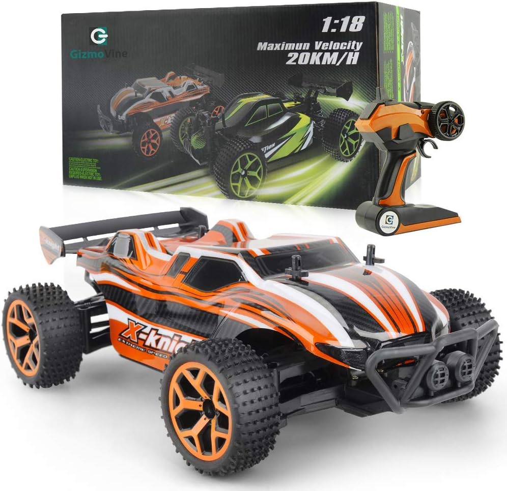 macchinina telecomandata amazon