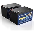 GOLDENMATE 12V 12Ah Lithium LiFePO4 Deep Cycle Battery 2 Pack, 5000+ Cycle Rechargeable Lithium Iron Phosphate Battery for Solar, Fish Finder, Power Wheels, Lighting, with 12A BMS