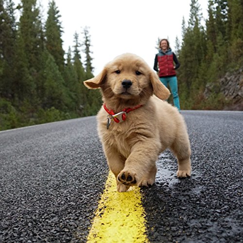 Nulo Dry Grain-Free SR Trout Food, 4.5 lb