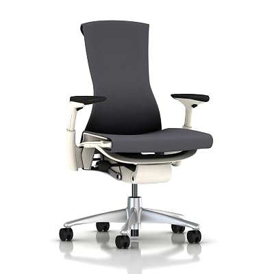 Herman Miller Embody Chair
