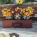 Mason Canning JARS in Wood DRAWER with 3 Ball Pint Jar Distressed Rustic Kitchen Table Centerpiece Mint Caribbean Blue Black Handle 11.5 X 6 X 3 Wooden Antique Blue Rectangle Box (Optional Flowers)