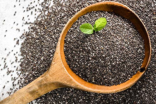 OA CHIA Now Greenfit | Bulk Chia (25 Lb) - Image 4