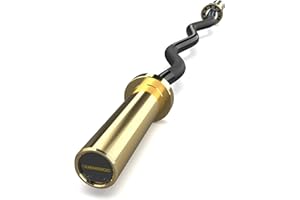 E.T.ENERGIC 47" Olympic EZ Curl Bar 500-lbs Capacity Steel Barbell Suitable for 2" Weight Plates, 2-Inch Curl Bar for Weight Lifting,Hip Thrusts,Squat,Biceps-Home Gym Weight Bar