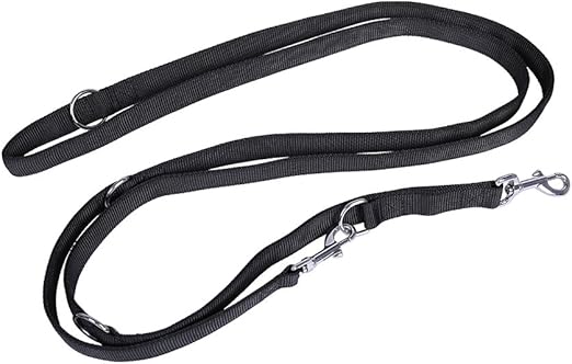 dog line leash
