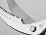 Wüsthof Stainless Poultry Shears 25.4 cm - Precision Forged & Sharp view 2