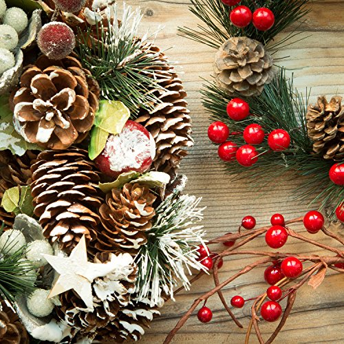Coobey 24 Pieces Christmas Pine Cones Ornament Natural PineCones With String Pendant Crafts for Gift Tag Christmas Tree Party Hanging Decoration (Snow)
